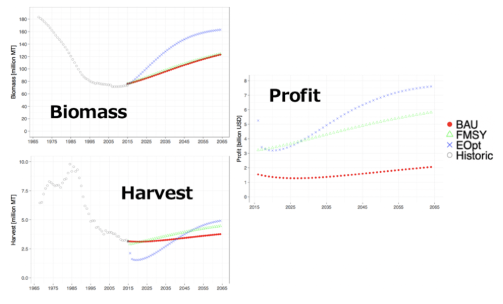 Upside Bioeconomic Model National Level